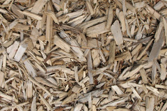 biomass boilers Duerdon